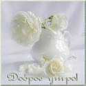 27500_60234_8bdb0092_XL.