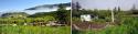 27527_1-13-Dachi.