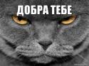 27633_0_894a3_ff6b856a_XL.