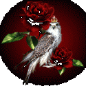 27642_7d0fd9ad91d6.