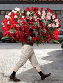 27657_mugik__oz.