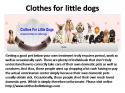 27660_clothesforlittledogs.