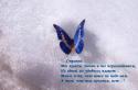 27917_givopis.