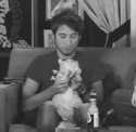 27920_SebbBitesCat.