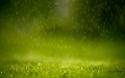 28159_Spring_warm_rain_-_computer_background_photos.