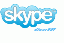 28185_skype.