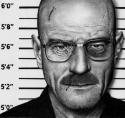 28200_breaking-bad-rick-fortson.