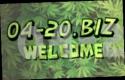 28290_f8NTc4bTzm.