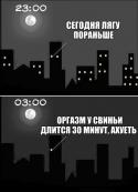 28312_4343ku.