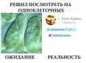 28324_zNezMbbkkYo.