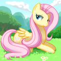 2834fluttershy_by_cartoonboyplz-d493jjh_png.