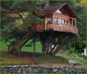 28539_childhood-dream-coming-true-tree-houses25.