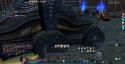 2862_Aion0004.