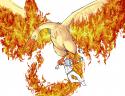 28647_moltres.