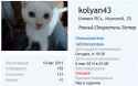 28652_111111111111.
