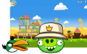 28657_angry-birds-0231-green-bird-and-green-pig.