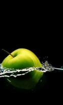 2870f27129e06868107861ee75c0f785faf6-bpfull.