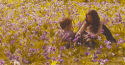 2882tumblr_lvbtyiRSaL1qaa99co4_250.