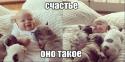 28988_Bmy2647g1fc.