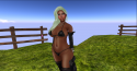 29092_Snapshot_003.