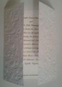 2921Foto0648.