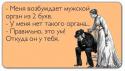 2922_ORGAN_V_DVYO_BUKVY.