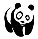 29232_wtf_panda.