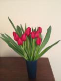 29245_tulips.