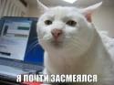 29276_8131076_0_0_x_c18b72ff_tlog.