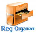 29290_Reg_Organizer.