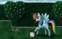 294891231_-_Alice_in_Wonderland_artist3Awdeleon_paint_rainbow_dash.