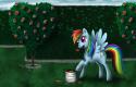 294891231_-_Alice_in_Wonderland_artist3Awdeleon_paint_rainbow_dash.