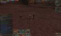 29523_Shot00507.