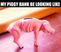 29558_PIGGY.