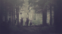 29573_tumblr_m7zgp1iNQY1rarszqo1_500.