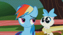 296987472_-_animated_cat_fluttershy_rainbow_dash.