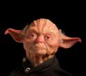 29701_yoda_1.