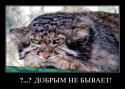 29771_qedvrsjdgg.