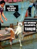 29810_ieNgT-TVvBQ.