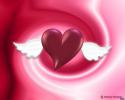 2981valentine_112-crop.
