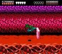 29874_Battletoads_gameplay.