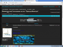 29907_otchet.