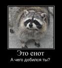 30023_67045_eto-enot.