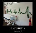 30033_312432_bolnitsa_demotivators_to.