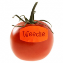 3007_weedletomat.