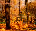 3008autumn10.
