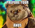 30146_Rape-Ewok-PREPARE-YOUR-ANUS.