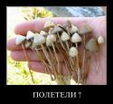 3022Humor_8.