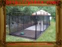 30278_Outdoor_Dog_Kennel_for_Large_Dogs.