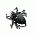 3028bug_100x100.